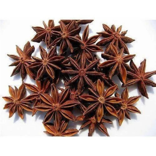 Star Flower (স্টার ফ্লাওয়ার মোসলা)